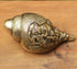 Brass Conch Shell