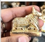 Brass Nandi(AISN 28)