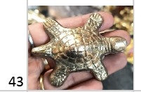 Brass Tortoise(AISN 43)