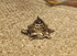 Sree Chakra with tortoise
