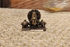 Balaji head wax 1180
