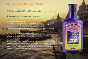 Ganga Water Pure Ganga Jal 400ml